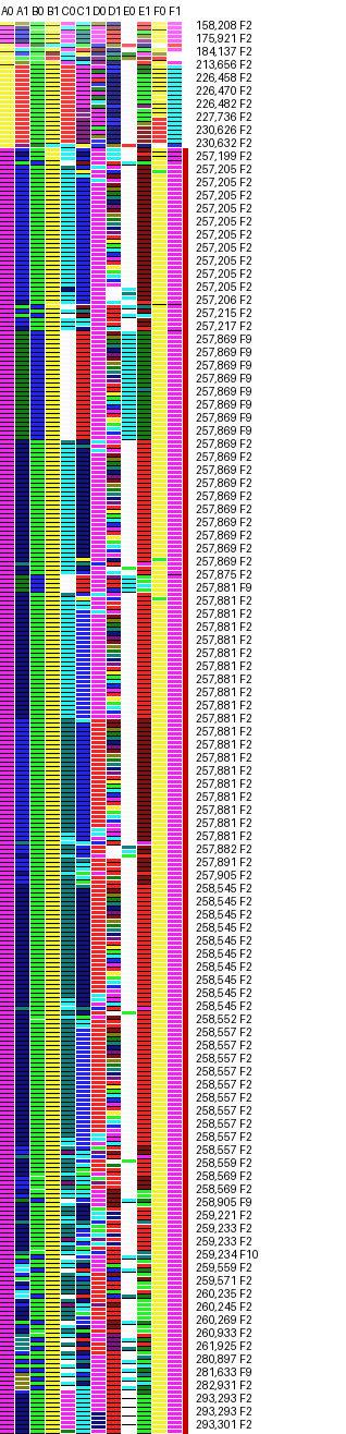 Barcodes of the machines between 150,000 and 300,000 steps, one row per machine, sorted by step count